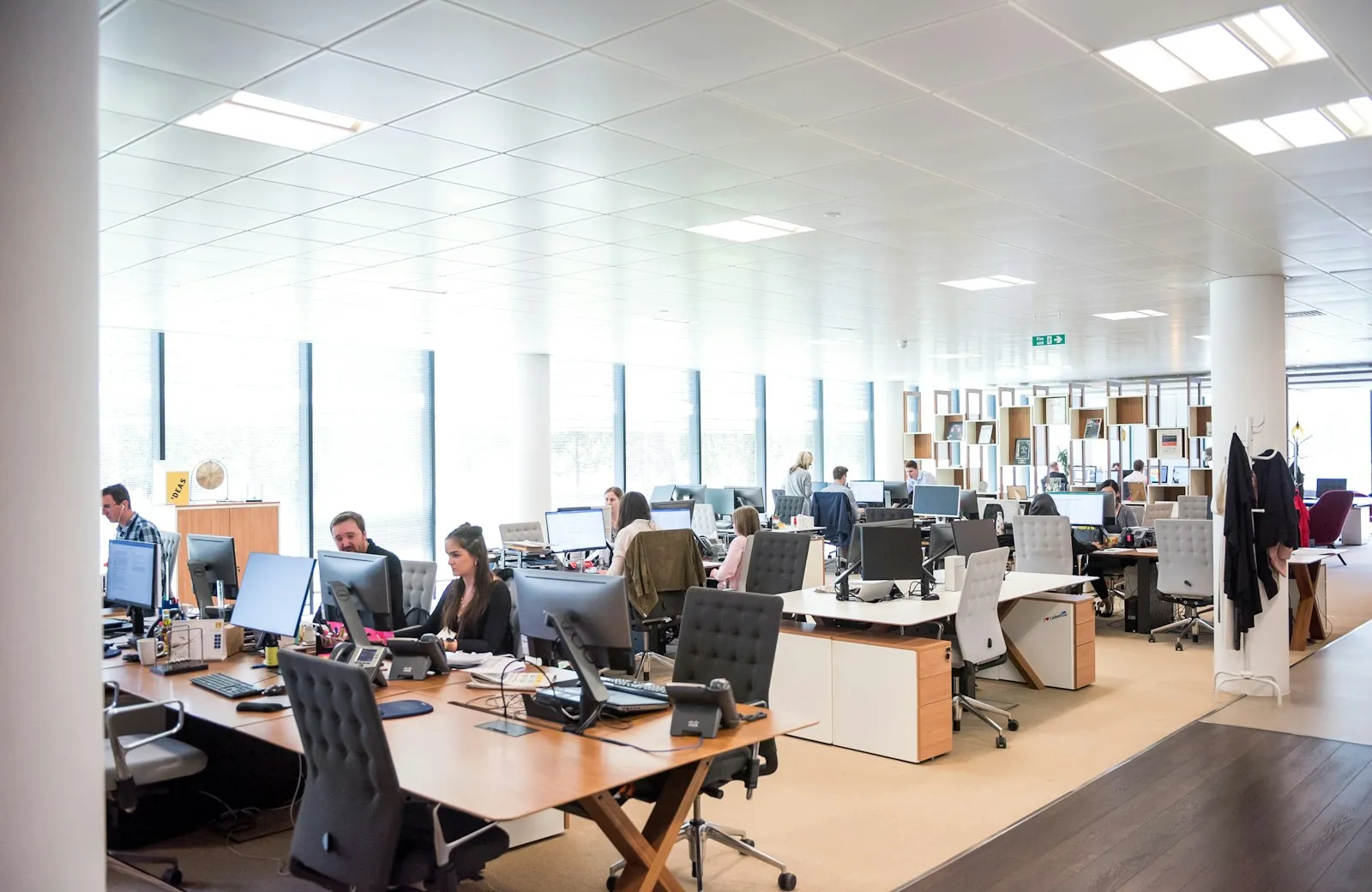 Operations team managing work across a shared office